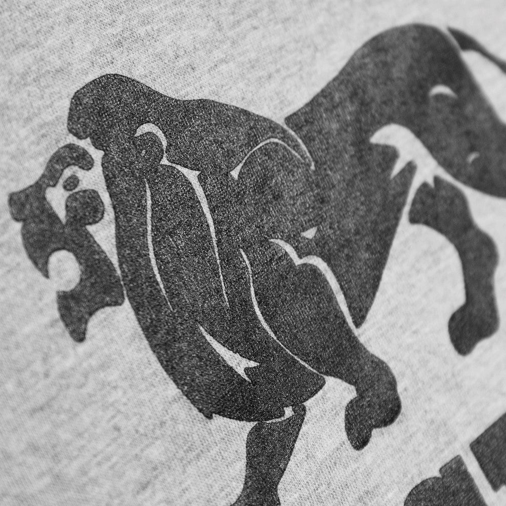 Lonsdale Classic T-Shirt Old Logo Grey - Image 7