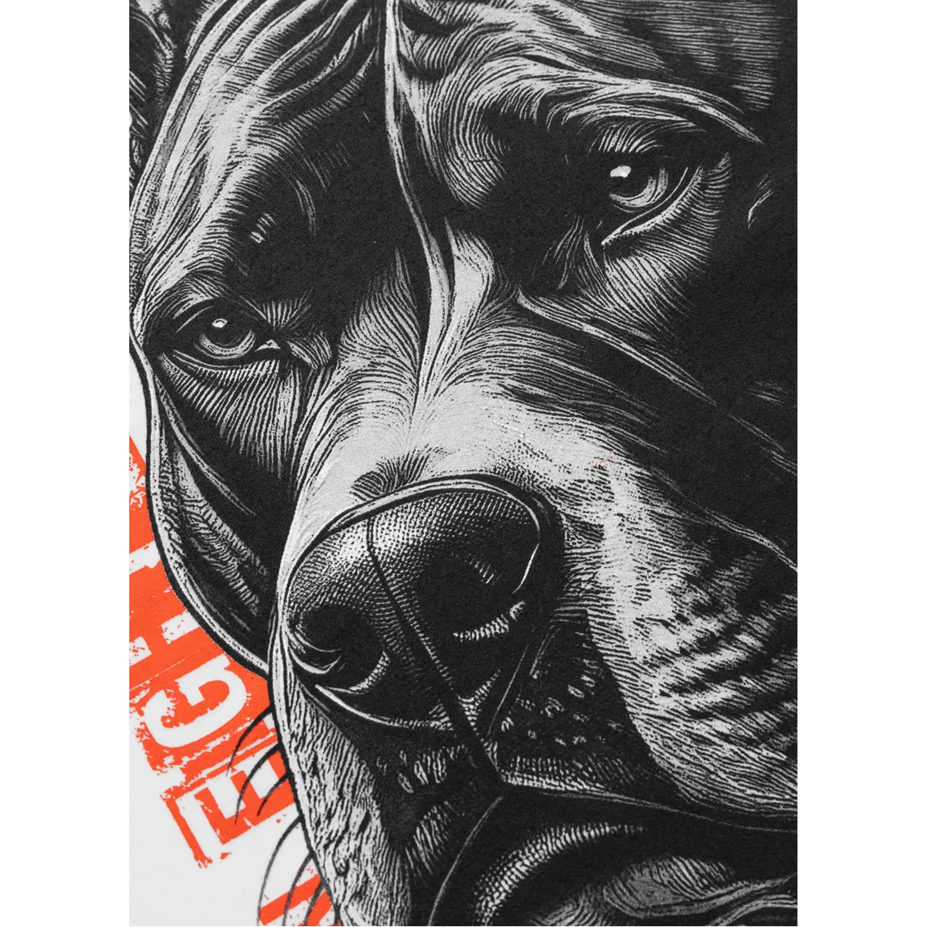 Pit Bull West Coast T-Shirt Blacky White - Image 8